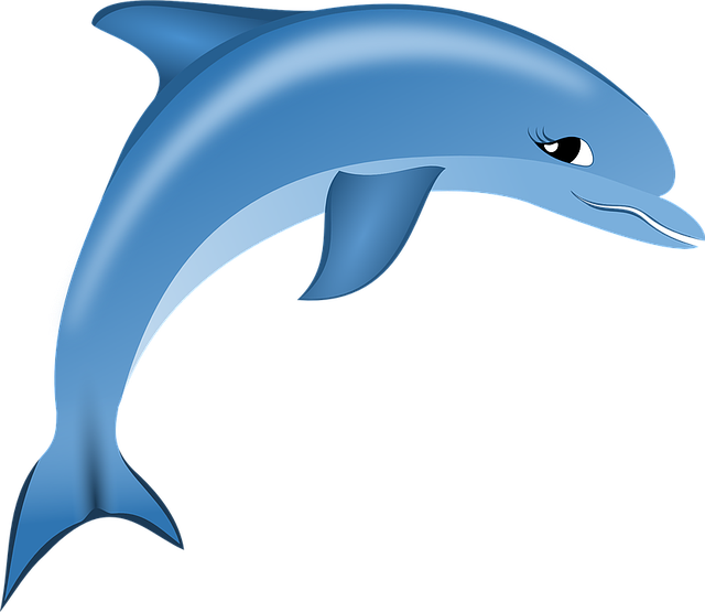 dolphin swim image