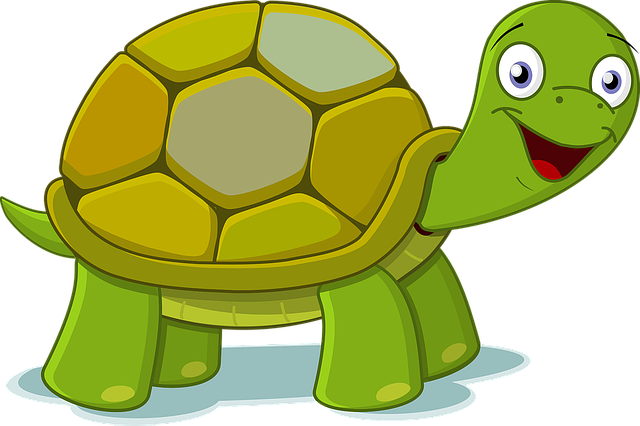 tortoise swim image